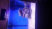 [TodoMarino.com] Nano Reef 50x50x50, paso a paso
