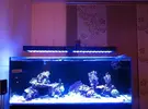 [TodoMarino.com] Me he pasado al led de espectro completo: Mis pantallas buenas bonitas y baratas