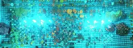 [TodoMarino.com] Visita a Coralking
