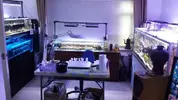 [TodoMarino.com] Visita a Coralking