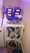 [TodoMarino.com] Nano Reef 50x50x50, paso a paso