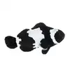 [TodoMarino.com] Proyecto - Cría de Amphiprion Ocellaris Snowflake - me ayudáis ?