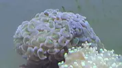 [TodoMarino.com] Stock calentito!!!