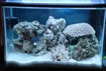 [TodoMarino.com] Mi Pequeña Aventura Marina de 27L