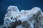 [TodoMarino.com] Mi Pequeña Aventura Marina de 27L