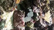 [TodoMarino.com] Esta mañana me levante con una sorpresa en el cristal!!!