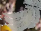 [TodoMarino.com] Esta mañana me levante con una sorpresa en el cristal!!!