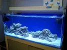 [TodoMarino.com] Mi nuevo acuario 325l.