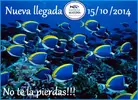 [TodoMarino.com] Llegada octubre 2014