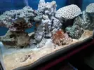 [TodoMarino.com] Mi Pequeña Aventura Marina de 27L