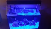 [TodoMarino.com] Como coloco mi pantalla de leds??