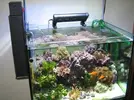 [TodoMarino.com] Ayuda fondo acuario marino