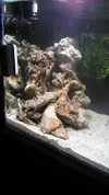 [TodoMarino.com] Nini reef de Blau de 91 litros de 45x45x45