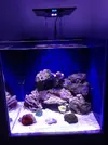 [TodoMarino.com] Proyecto reef 55x55x55