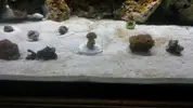 [TodoMarino.com] arena cafe
