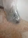 [TodoMarino.com] Plantas para mi acuario de agua dulce.