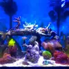 [TodoMarino.com] Nano Reef 50x50x50, paso a paso