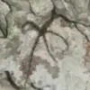 [TodoMarino.com] Life Reef