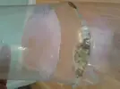 [TodoMarino.com] Mi nuevo acuario 325l.