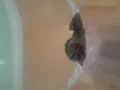 [TodoMarino.com] Mi nuevo acuario 325l.