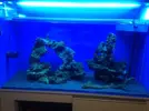 [TodoMarino.com] Reef 405l