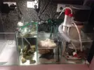 [TodoMarino.com] Reef 405l