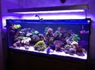 [TodoMarino.com] BricoLed Tetra aquaart explorer 60l