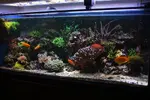 [TodoMarino.com] BricoLed Tetra aquaart explorer 60l