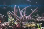 [TodoMarino.com] BricoLed Tetra aquaart explorer 60l