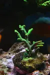 [TodoMarino.com] BricoLed Tetra aquaart explorer 60l