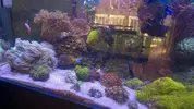 [TodoMarino.com] BricoLed Tetra aquaart explorer 60l