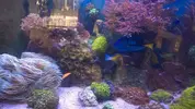 [TodoMarino.com] BricoLed Tetra aquaart explorer 60l