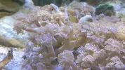 [TodoMarino.com] BricoLed Tetra aquaart explorer 60l