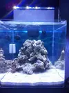 [TodoMarino.com] Nini reef de Blau de 91 litros de 45x45x45