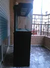 [TodoMarino.com] Riquelme's Reef