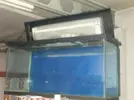 [TodoMarino.com] Riquelme's Reef