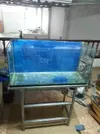 [TodoMarino.com] Riquelme's Reef