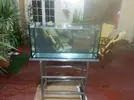 [TodoMarino.com] Riquelme's Reef