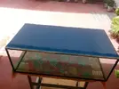 [TodoMarino.com] Riquelme's Reef