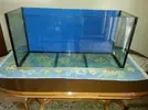 [TodoMarino.com] Riquelme's Reef