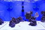 [TodoMarino.com] Maxspect Gyre: el creador de giros