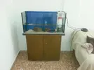 [TodoMarino.com] Riquelme's Reef