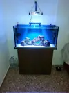 [TodoMarino.com] Riquelme's Reef
