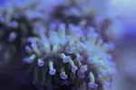 [TodoMarino.com] Tierra y mar vlc