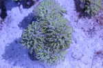 [TodoMarino.com] Tierra y mar vlc