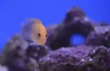 [TodoMarino.com] Tierra y mar vlc