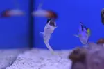 [TodoMarino.com] Tierra y mar vlc