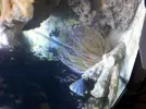 [TodoMarino.com] Anemonas en Leganes