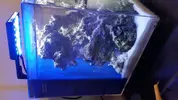 [TodoMarino.com] Pico Reef 7,6L