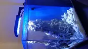 [TodoMarino.com] Pico Reef 7,6L